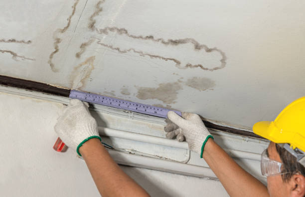 Reliable Water Damage contractor in Virginia, VA by Water Damage Irwin